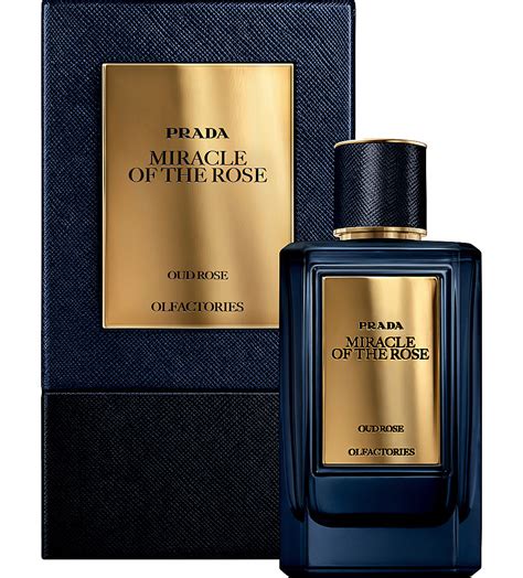 prada miracle of the rose oud rose|Prada mirages perfume.